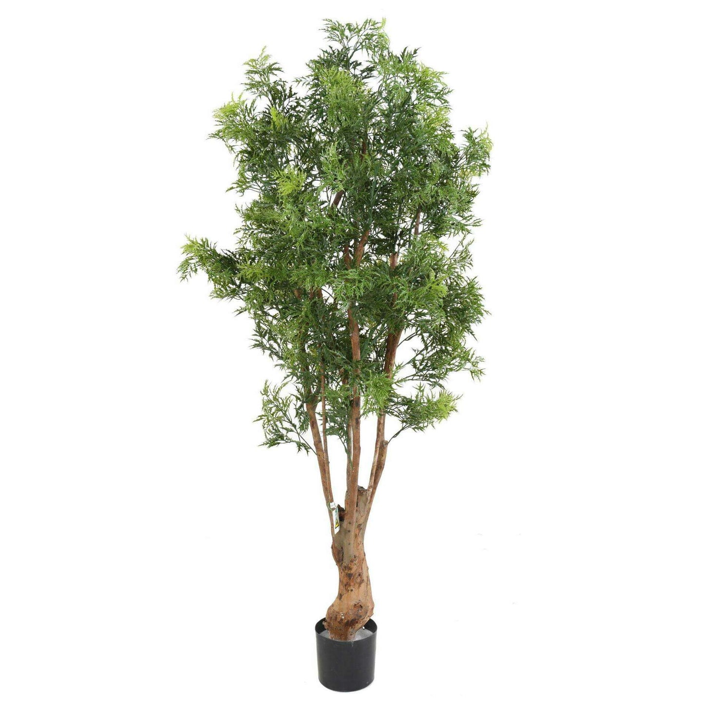 Plante artificielle Aralia Ming Nitida UV - intérieur extérieur - H.170cm vert