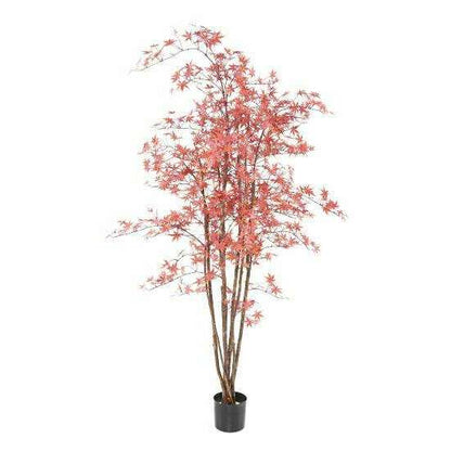 Plante artificielle Aralia Plastique UV (érable) - intérieur extérieur - H.180cm rouge