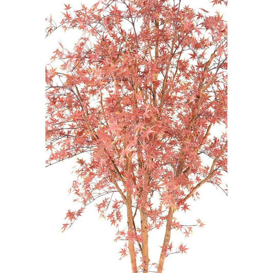 Plante artificielle Aralia Tree PE UV (érable) - intérieur extérieur - H.270cm rouge