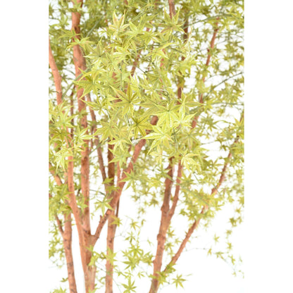Plante artificielle Aralia Tree PE UV (érable) - intérieur extérieur - H.340cm vert