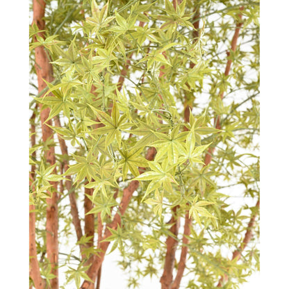 Plante artificielle Aralia Tree PE UV (érable) - intérieur extérieur - H.340cm vert