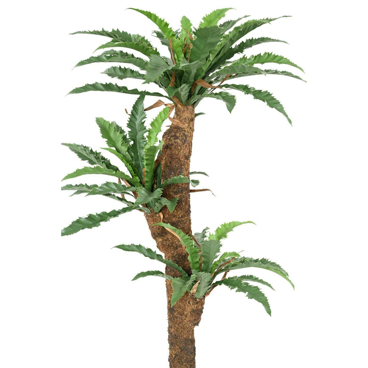 Plante artificielle Asplenium Dakila - décoration d'intérieur - H.130cm