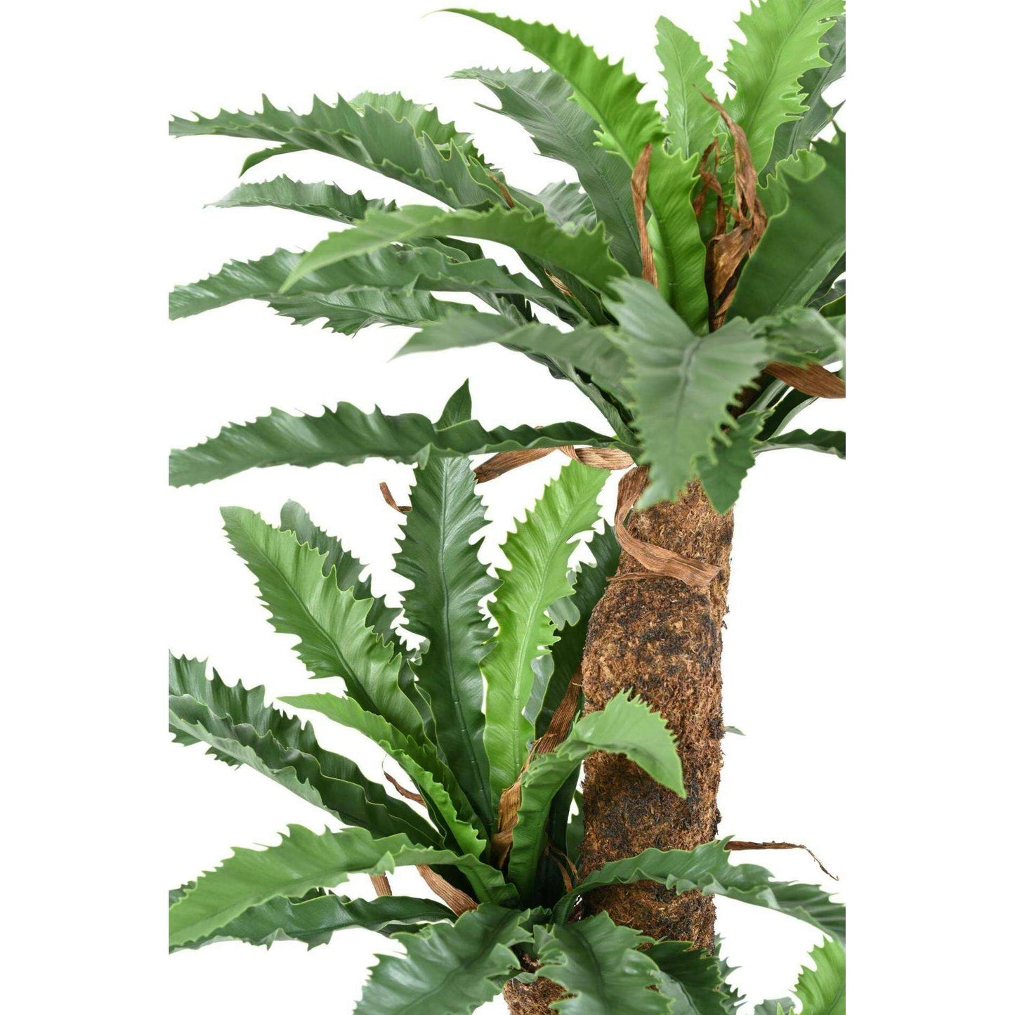 Plante artificielle Asplenium Dakila - décoration d'intérieur - H.130cm