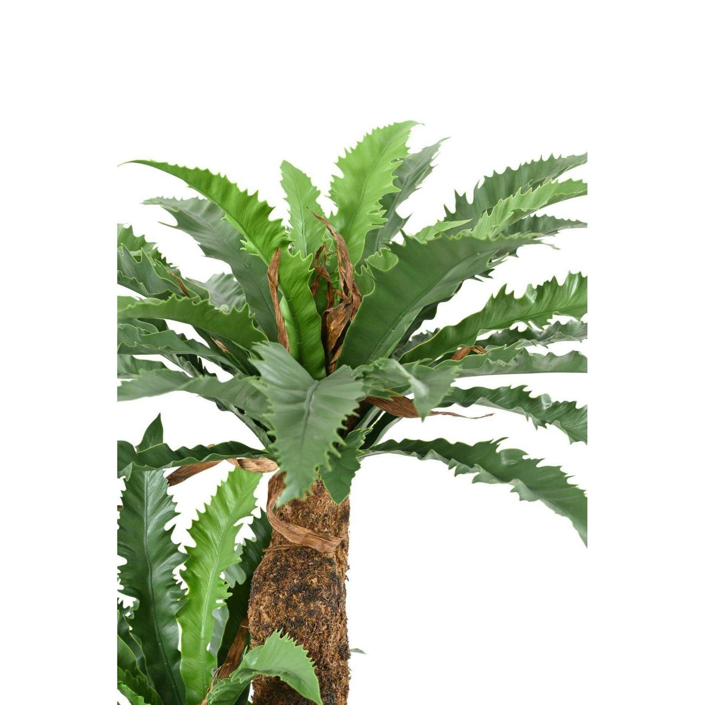 Plante artificielle Asplenium Dakila - décoration d'intérieur - H.130cm