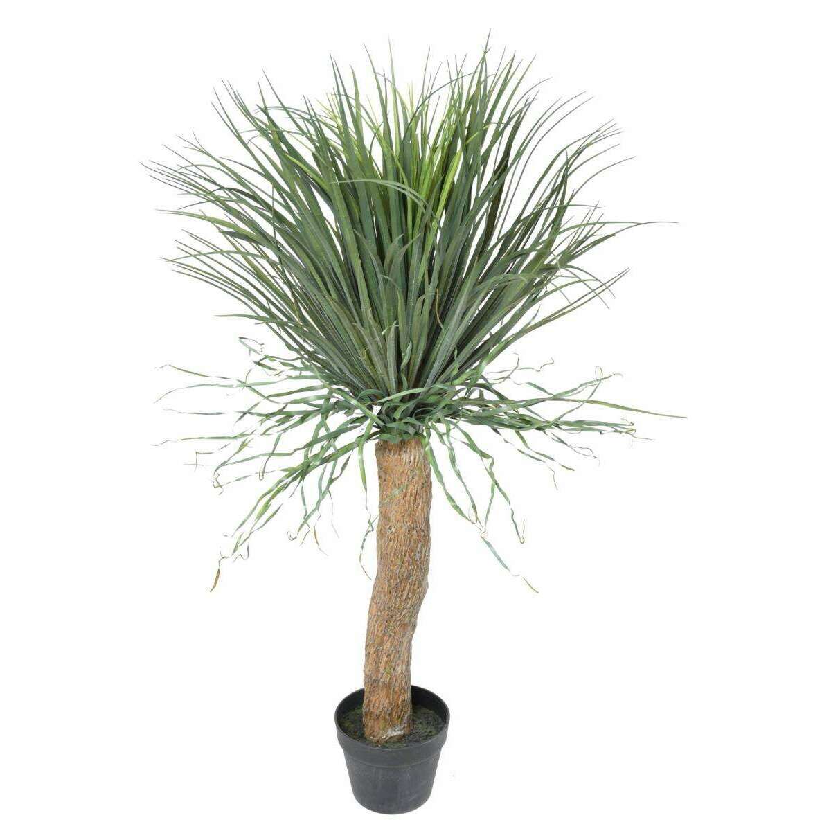 Plante artificielle Beaucarnea Pied d'éléphant - intérieur - H.116cm