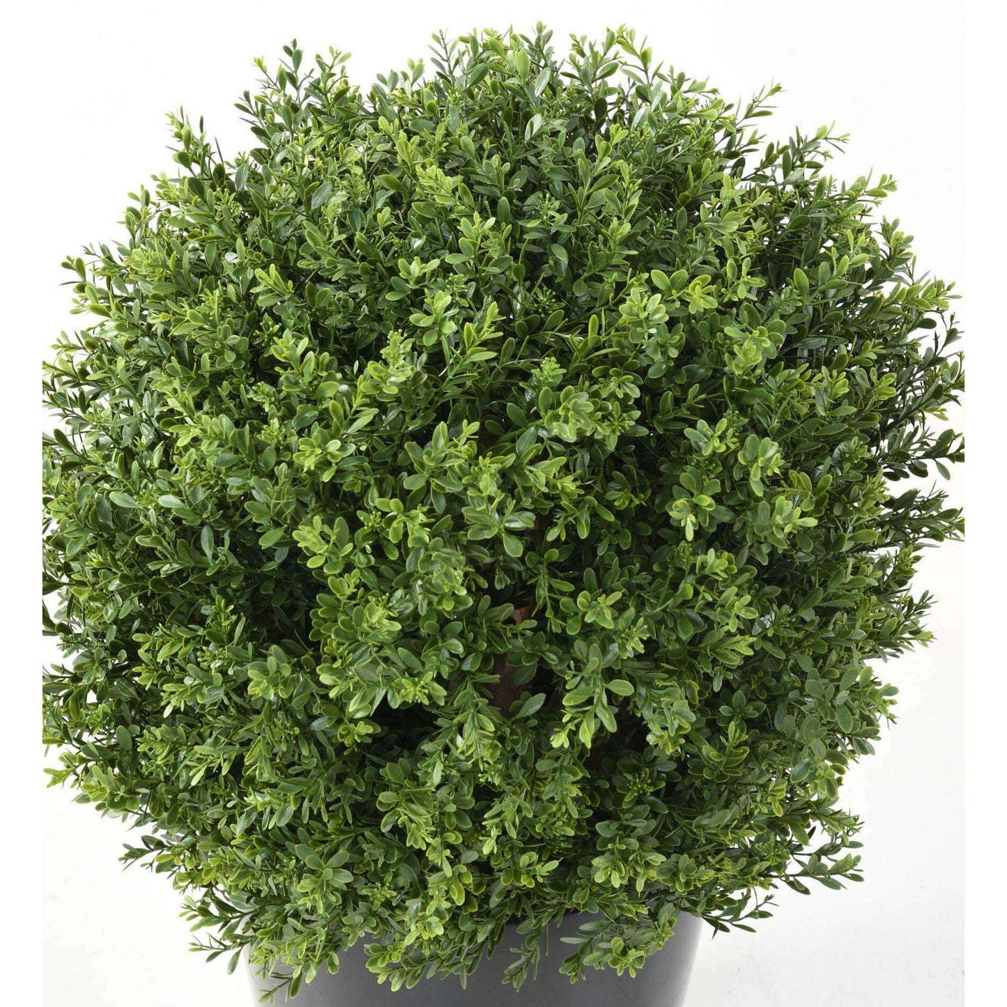 Plante artificielle Buis boule RED DAY UV - topiaire pour extérieur - H.65cm vert