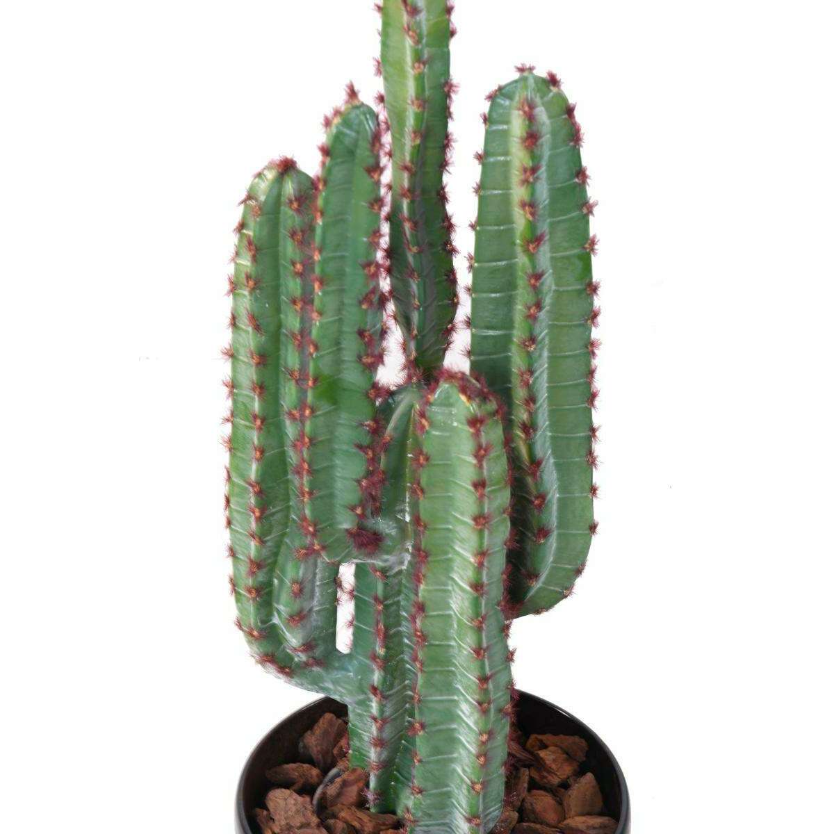 Plante artificielle Cactus 5 branches - Plante synthétique intérieur - H.77cm vert