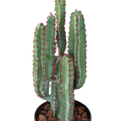 Plante artificielle Cactus 5 branches - Plante synthétique intérieur - H.77cm vert