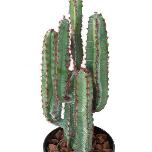 Plante artificielle Cactus 5 branches - Plante synthétique intérieur - H.77cm vert