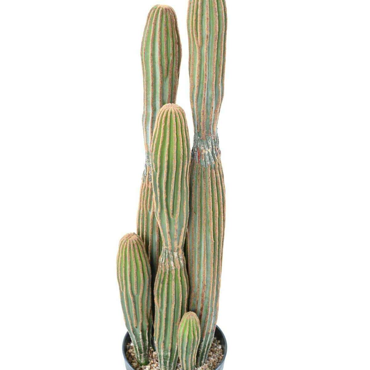 Plante artificielle Cactus Finger 6 troncs - Plante pour intérieur - H.95cm vert