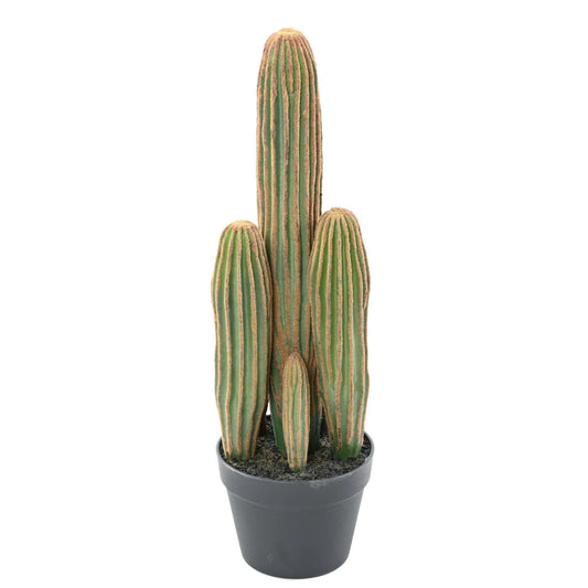 Plante artificielle Cactus Finger 7 troncs - Plante pour intérieur - H.60cm vert