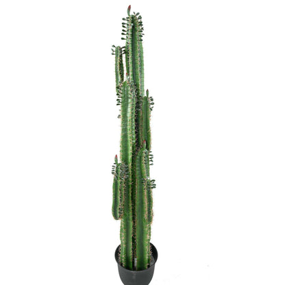Plante artificielle Cactus Finger avec feuilles - Plante pour intérieur - H.185cm vert