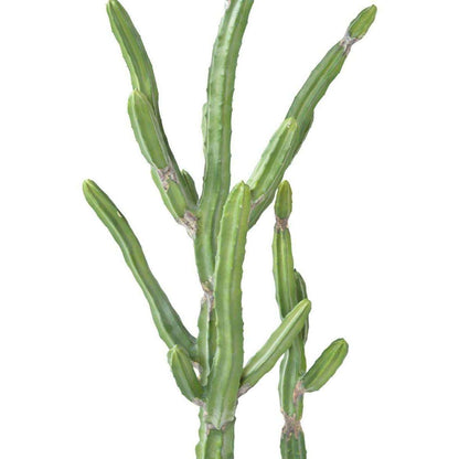 Plante artificielle Cactus Finger F - Plante pour intérieur - H.120cm vert