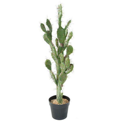Plante artificielle Cactus Plat - Plante pour intérieur - H. 104cm vert