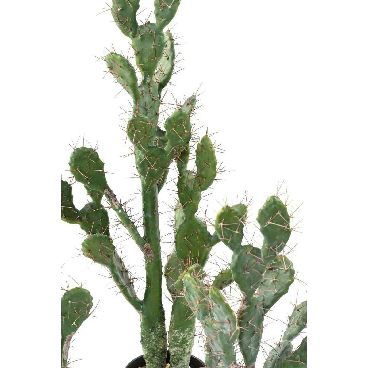 Plante artificielle Cactus Plat - Plante pour intérieur - H. 104cm vert