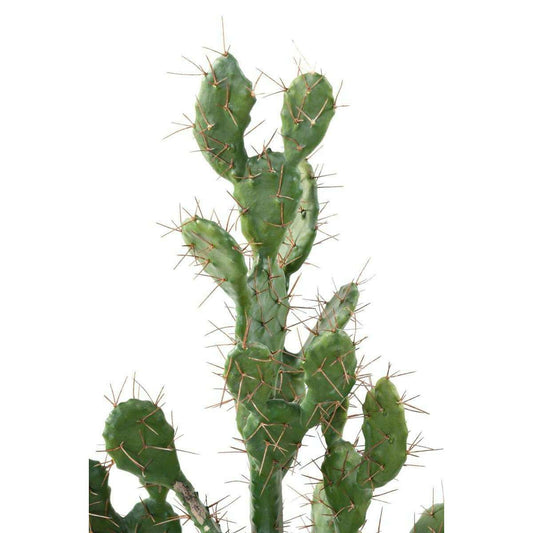 Plante artificielle Cactus Plat - Plante pour intérieur - H. 58cm vert