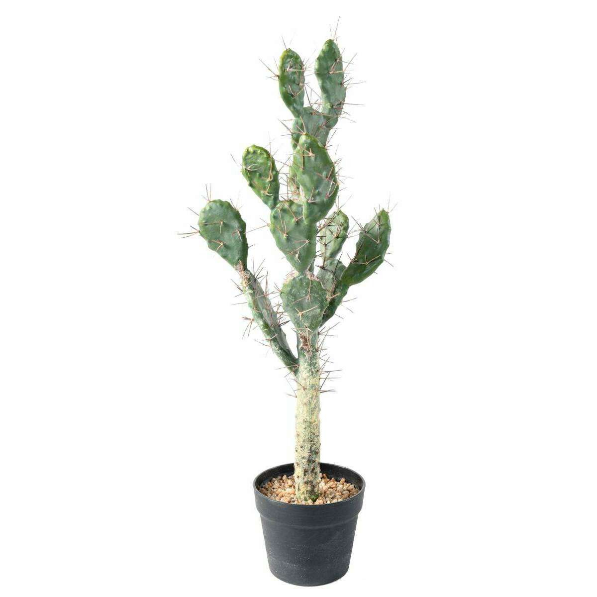 Plante artificielle Cactus Plat - Plante pour intérieur - H. 75cm vert