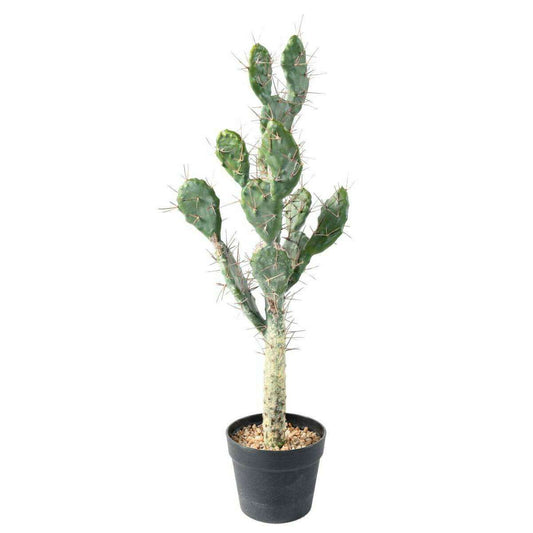 Plante artificielle Cactus Plat - Plante pour intérieur - H. 75cm vert