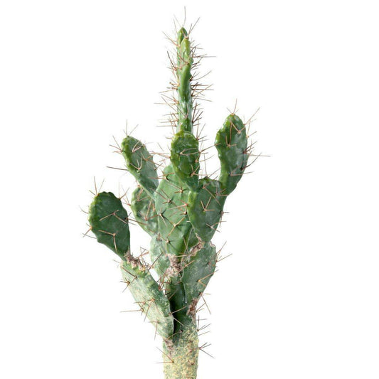 Plante artificielle Cactus Plat - Plante pour intérieur - H. 75cm vert