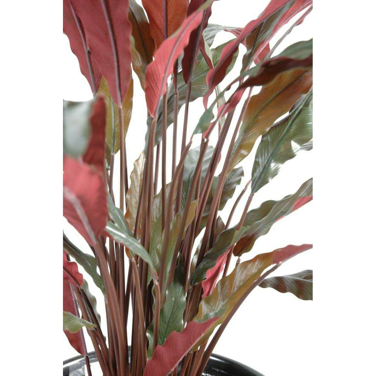 Plante artificielle Calathea - décoration d'intérieur - H.85cm vert rouge