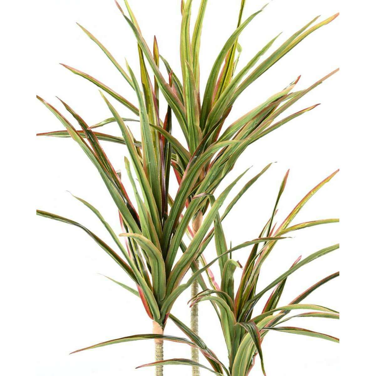 Plante artificielle Dracaena 3 têtes - décoration d'intérieur - H.140cm