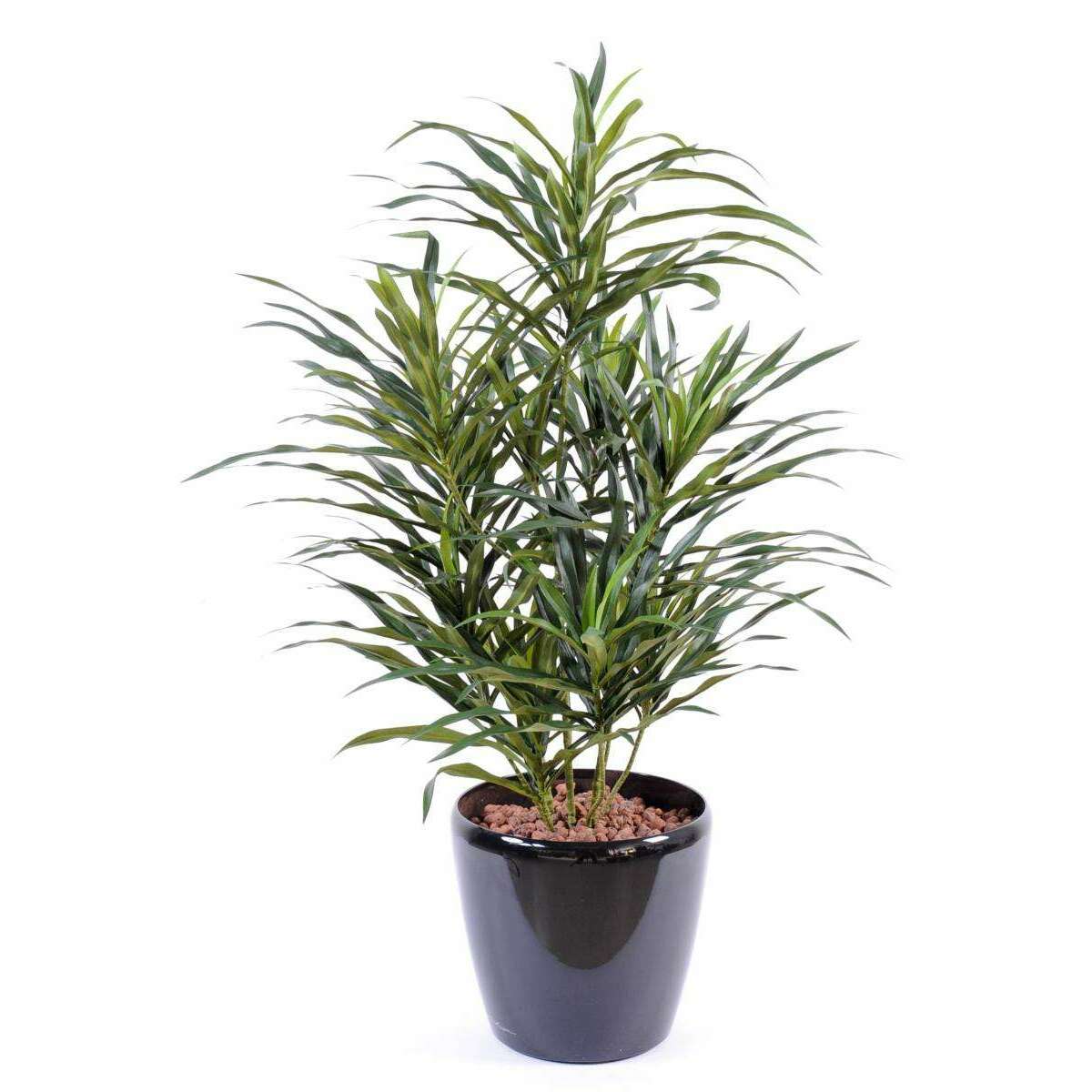 Plante artificielle Dracaena Anita - décoration d'intérieur - H.75cm vert