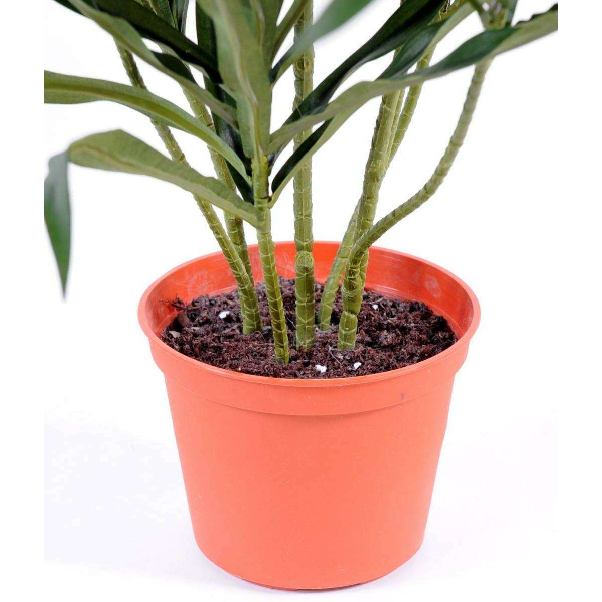 Plante artificielle Dracaena Anita - décoration d'intérieur - H.75cm vert