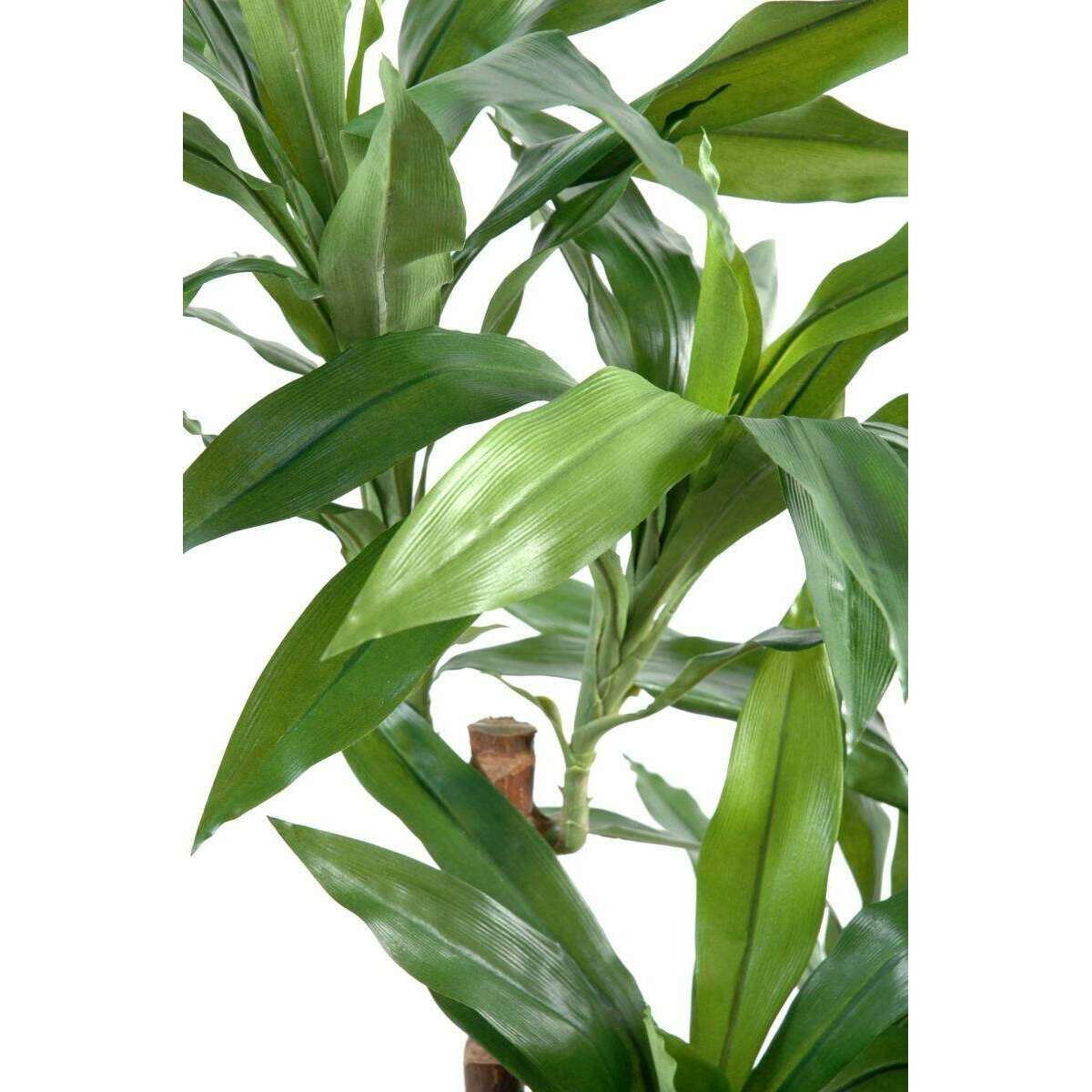 Plante artificielle Dracaena Fragrans - décoration d'intérieur - H.95cm vert
