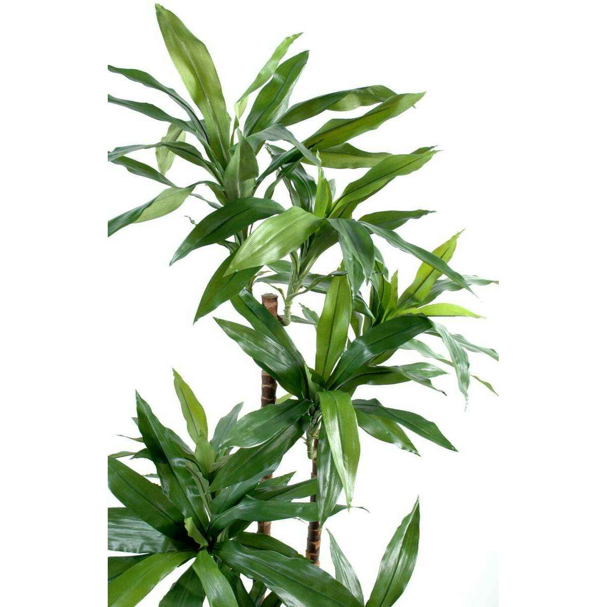 Plante artificielle Dracaena Fragrans - décoration d'intérieur - H.95cm vert