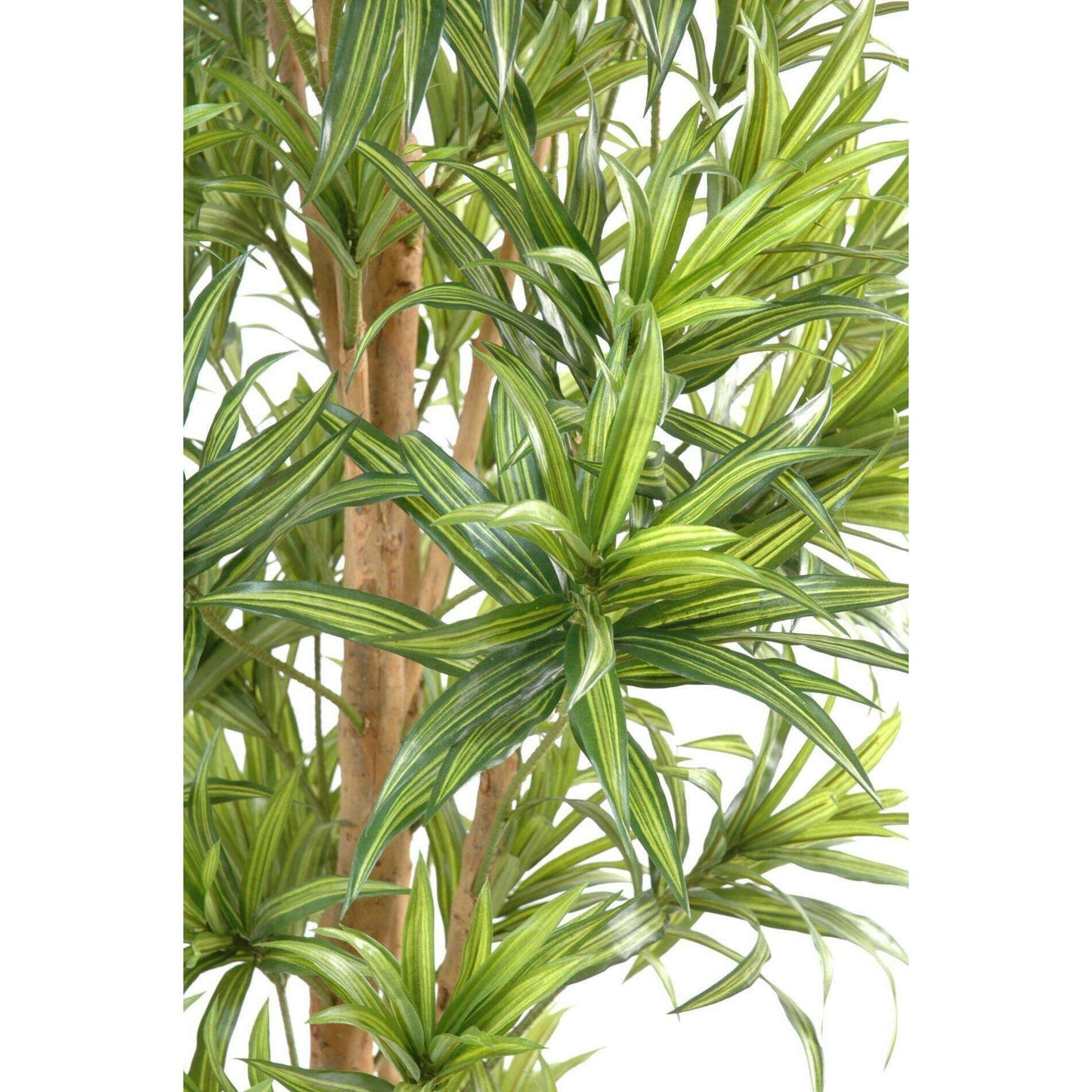Plante artificielle Dracaena Reflexa - décoration d'intérieur - H.150cm vert