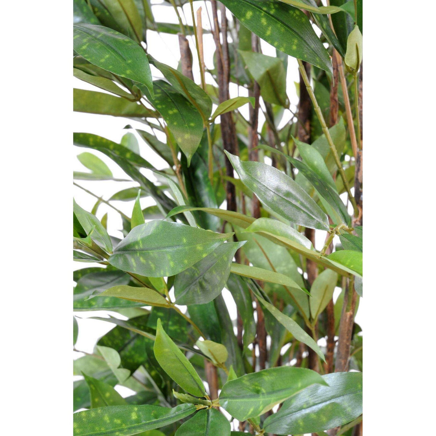 Plante artificielle Dracaena Surculosa - décoration d'intérieur - H.120cm vert