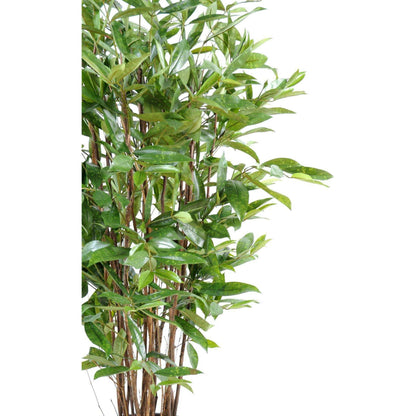Plante artificielle Dracaena Surculosa - décoration d'intérieur - H.120cm vert