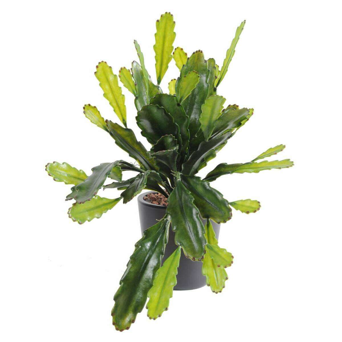 Plante artificielle Epiphyllum en piquet - cactus artificiel extérieur - H.50cm vert