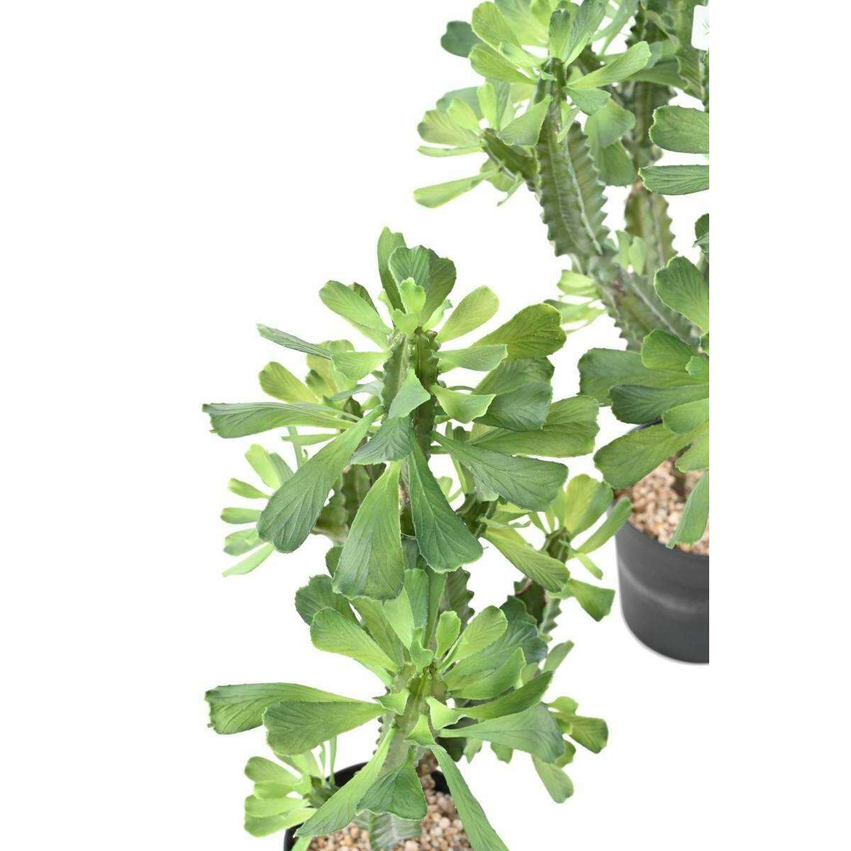 Plante artificielle Euphorbe lactée - Plante pour intérieur - H.110cm vert