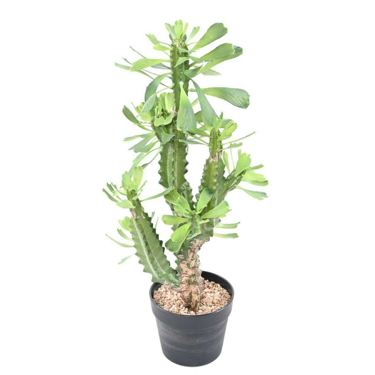 Plante artificielle Euphorbe lactée - Plante pour intérieur - H.65cm vert