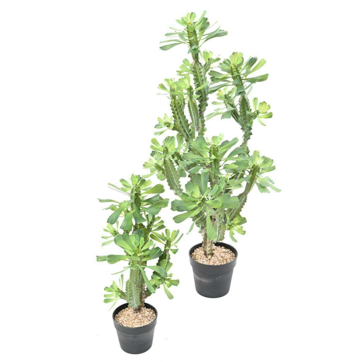 Plante artificielle Euphorbe lactée - Plante pour intérieur - H.65cm vert