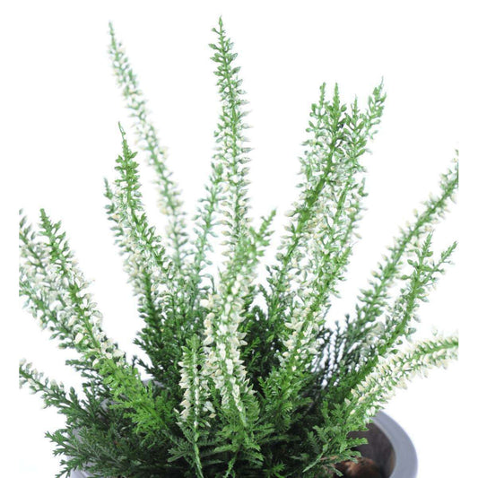 Plante artificielle Fleurie Bruyère plastique en piquet - intérieur extérieur - H. 30cm blanc