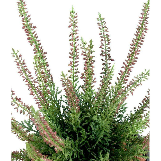 Plante artificielle Fleurie Bruyère plastique en piquet - intérieur extérieur - H.30cm cerise