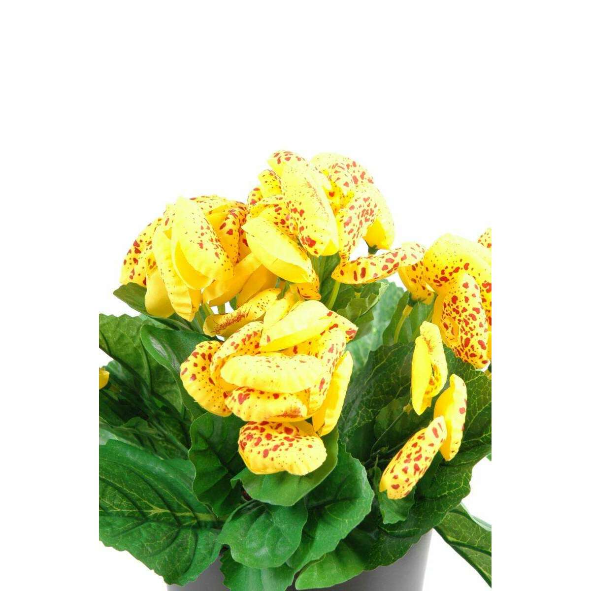Plante artificielle fleurie Calcéolaire - Plante synthétique - H.30 cm jaune