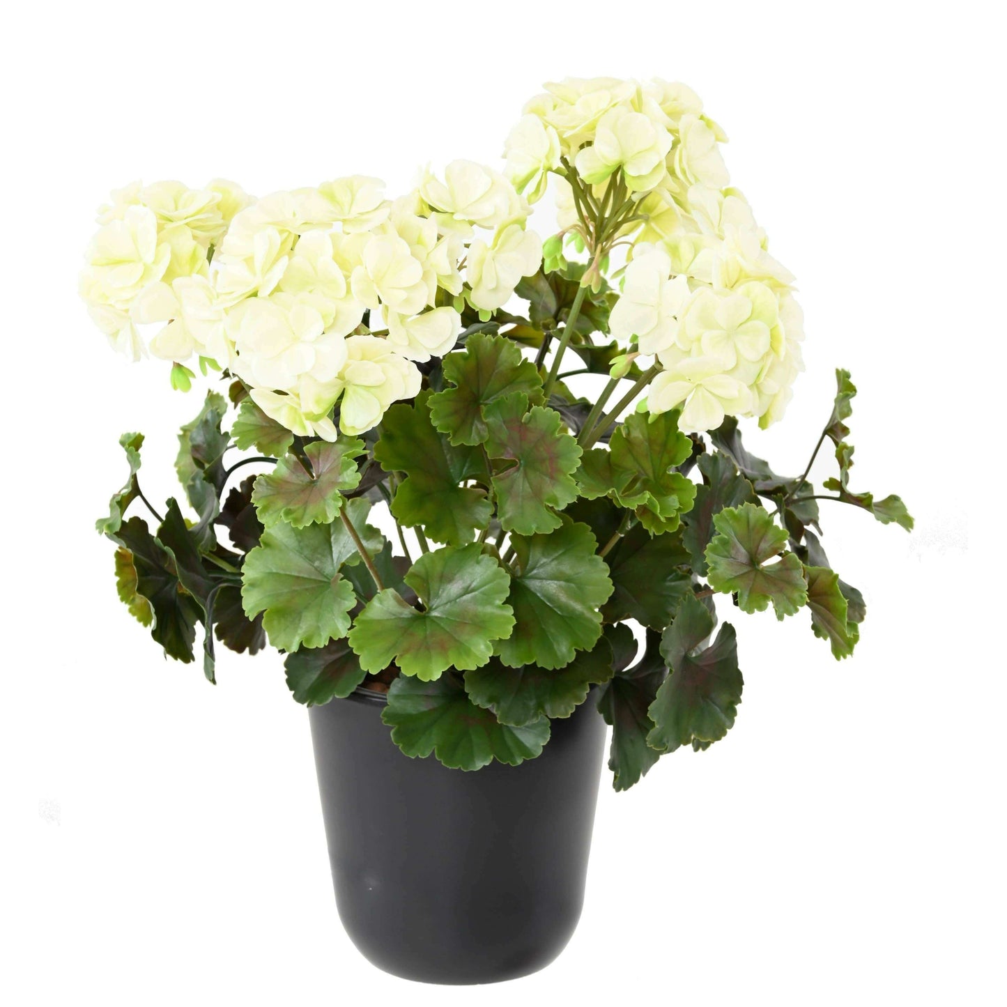 Plante artificielle fleurie Géranium UV 6 têtes - intérieur extérieur - H.35cm blanc