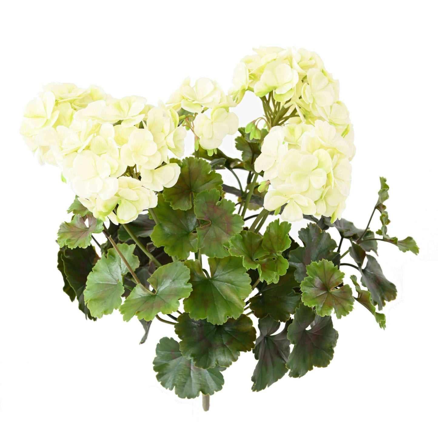 Plante artificielle fleurie Géranium UV 6 têtes - intérieur extérieur - H.35cm blanc