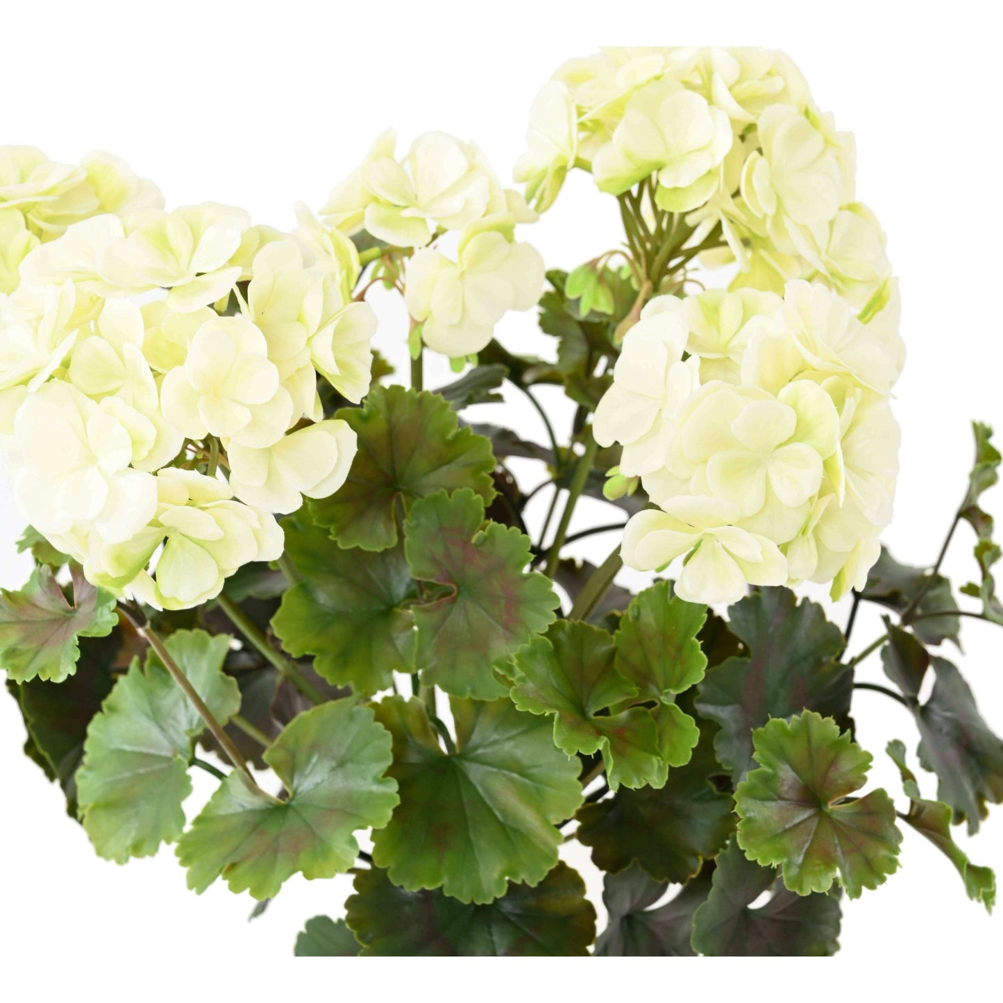 Plante artificielle fleurie Géranium UV 6 têtes - intérieur extérieur - H.35cm blanc