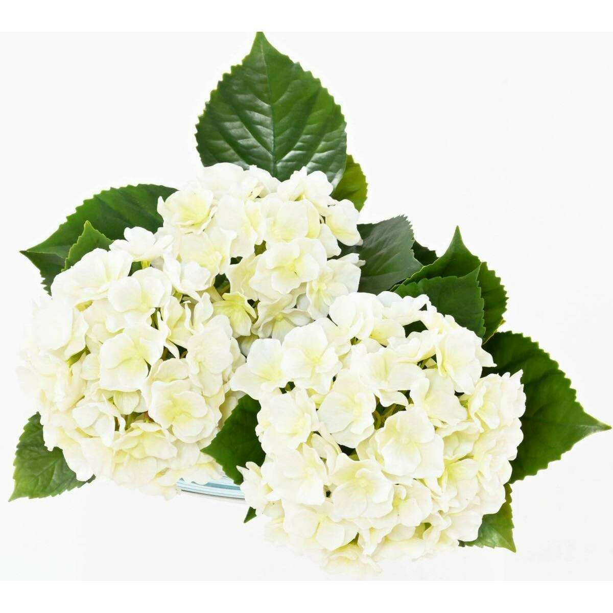 Plante artificielle fleurie Hortensia 3 têtes - intérieur extérieur - H.45cm blanc