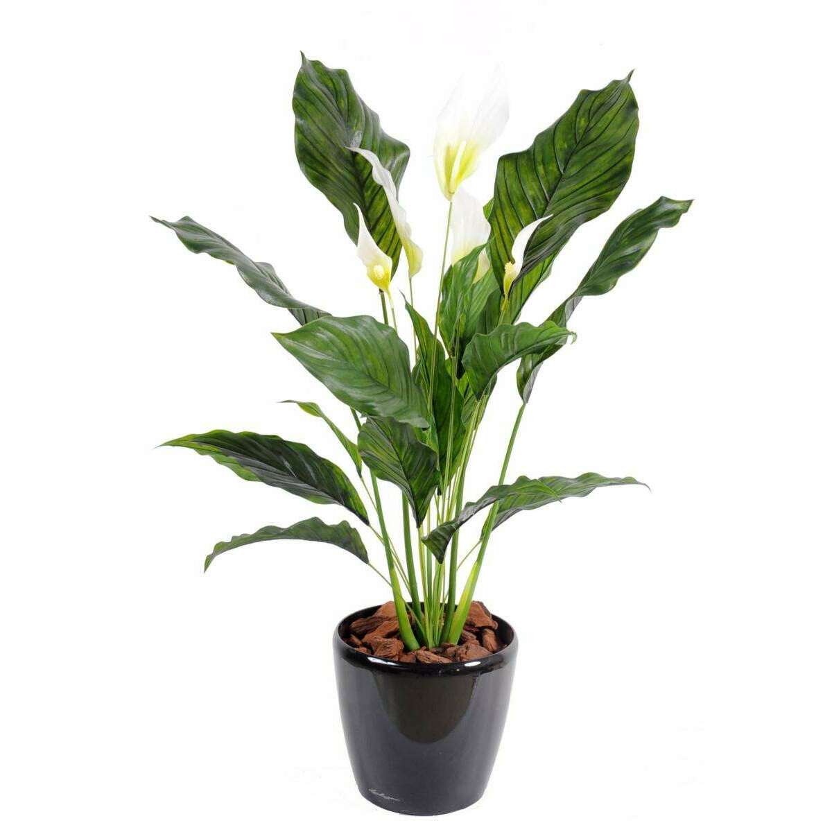 Plante artificielle fleurie Spathiphyllum 5 fleurs - intérieur extérieur - H.80cm