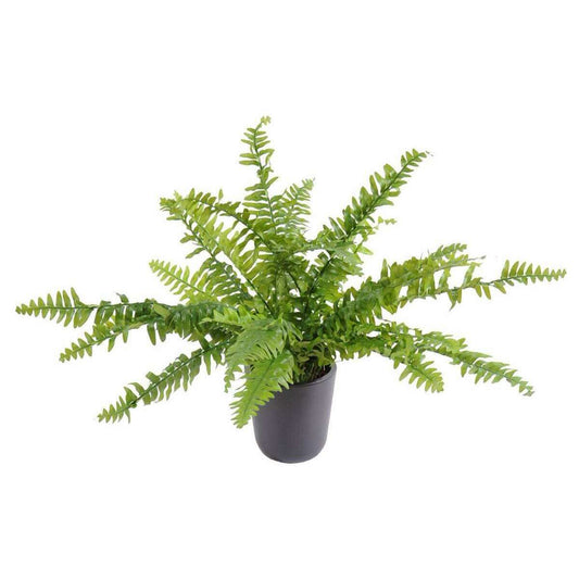 Plante artificielle Fougère Boston en piquet - intérieur - H.56cm Ø.70cm