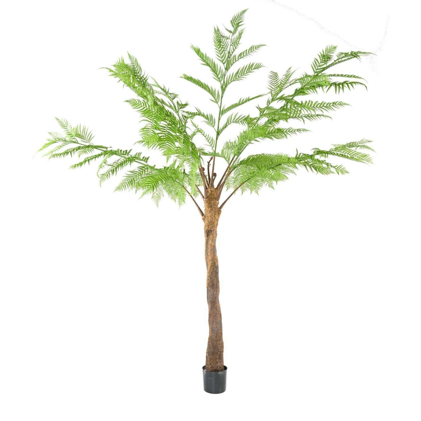 Plante artificielle Fougère Dicksonia 9 branches - décoration d'intérieur - H.320cm