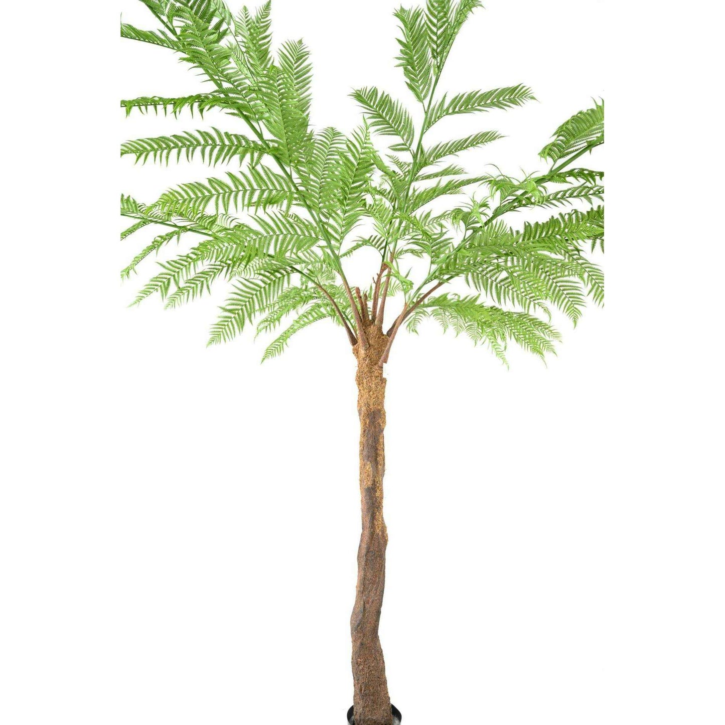 Plante artificielle Fougère Dicksonia 9 branches - décoration d'intérieur - H.320cm