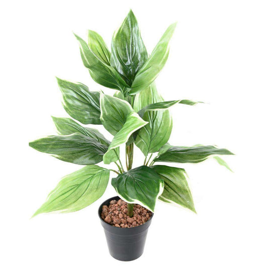 Plante artificielle Hosta en piquet -plante d'intérieur - H.60cm vert blanc