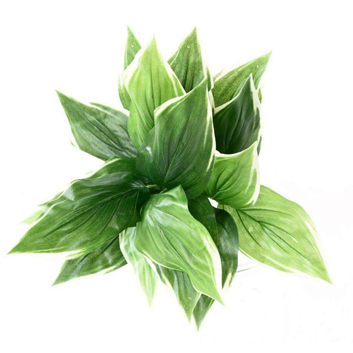 Plante artificielle Hosta en piquet -plante d'intérieur - H.60cm vert blanc