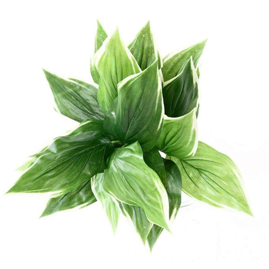 Plante artificielle Hosta en piquet -plante d'intérieur - H.60cm vert blanc